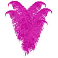 Carnaval verkleed veer/struisvogelveren - 10x - roze - 50 cm - Carnaval - Sierveren/charleston veren Carnaval verkleed veer/struisvogelveren - 10x - roze - 50 cm - Carnaval - Sierveren/charleston veren