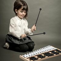 Xylophon 27 Noten Klokkenspel Handpercussie met 2 Haken en Draagtas Percussie Slaginstrument Houten Sokkel en Metalen Toetsen