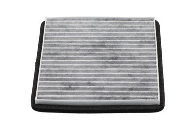 AMC Interieurfilter Carbon DC7112C