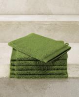 De Witte Lietaer De Witte Lietaer washand Excellence 16x22 cactus