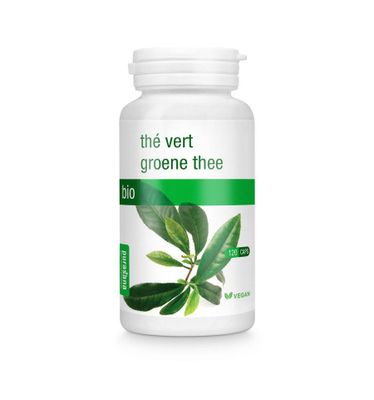 Groene thee vegan bio
