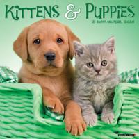 Kittens en Puppies Kalender 2026