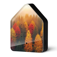 RELAXSOUND - Zwitscherbox - Vogels Golden Leaves (gelimiteerd)