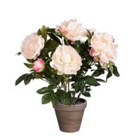 Mica Decorations Peony Kunstbloem - 38x38x50 cm - Polyester - Zalm - thumbnail