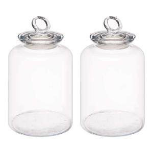 Snoeppot/voorraadpot Megan - 2x - 2600 ml - glas - met luchtdichte deksel - D14 x H25 cm