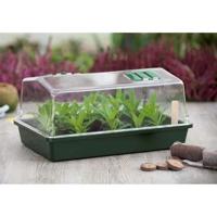Mini-kasterrine en geventileerd deksel 37x24x18 xm