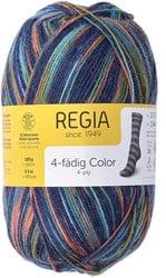 SMC Regia Sokkengaren 4-draads Color 2355