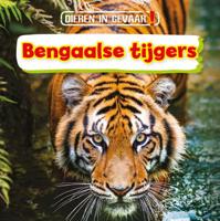 Bengaalse tijgers (Hardback)
