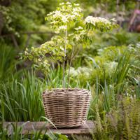 Drypot plantenmand 'grof rotan' - groot