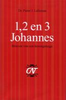 1, 2 en 3 Johannes (Hardback)
