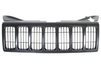Radiateurgrille 6502073205992P