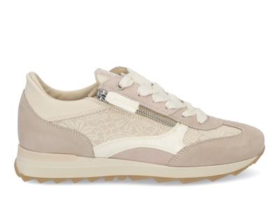 DL Sport 6959 vers 01 stone Beige maat 36 DL Sport 6959 vers 01 stone Beige maat 36