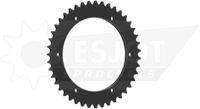ESJOT Chain wheel 525 43z steel black