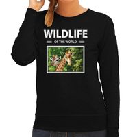 Giraf sweater / trui met dieren foto wildlife of the world zwart voor dames - thumbnail