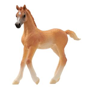 schleich HORSE CLUB Arabisch veulen - 13984