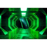 Gaming muis met led Razer RZ01-04910100-R3M1 Zwart 30000 dpi
