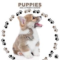 Puppies Kalender 2026