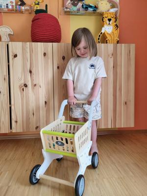 Essentiële houten benodigdheden / toebehoren meerkleurig