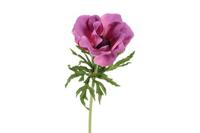 Decostar zijdebloem Anemone L 52 cm lila