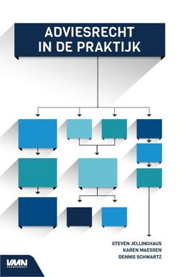 Adviesrecht in de praktijk (Paperback)