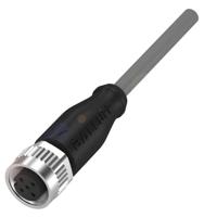 BALLUFF BCC034A Sensor/actuator aansluitkabel 1 stuk(s)