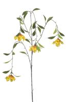Dishgyi hanging spray x4 yellow 150 cm - Emerald