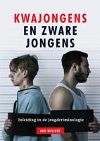 Kwajongens en zware jongens (Paperback)