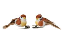 4 vogels op clip bruin 4 vogels op clip bruin