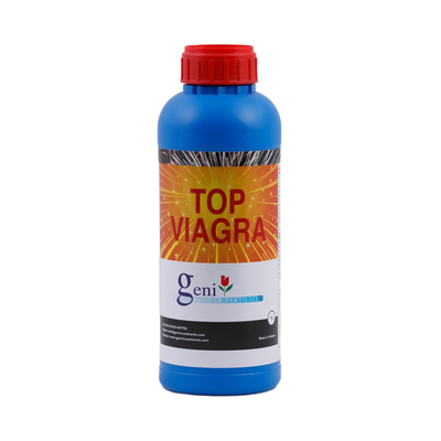Geni Geni Top Viagra