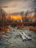 Tuinschilderij winter sunset 70x50 - Customize it