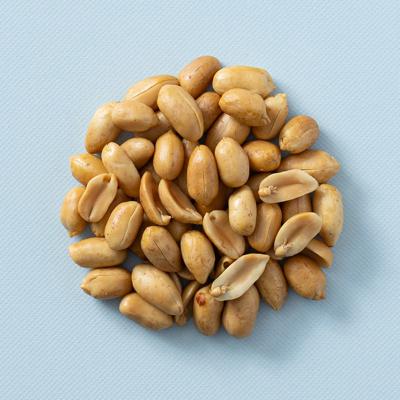 pinda&apos;s gebrand ongezouten 6 KG emmer