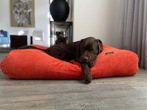 Dog's Companion® Hondenbed oranje ribcord