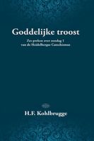 Goddelijke troost - Dr. H.F. Kohlbrugge - ebook - thumbnail
