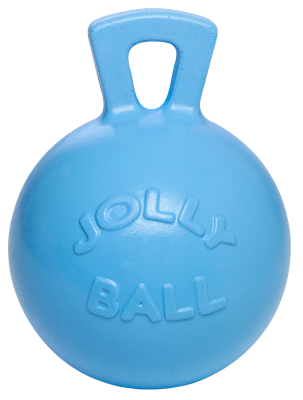 Jolly Ball Blauw (bosbes) Jolly Ball Blauw (bosbes)