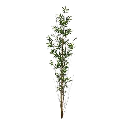 Oriental Bamboe kunsttak recht 150cm