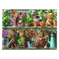 Ravensburger Legpuzzel katjes in het rek, 500st. Ravensburger Legpuzzel katjes in het rek, 500st.