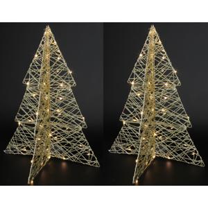 Lichtboompjes/kerstboompjes 3D - 2x - H49 cm - goud - metaal - 40 leds warm wit -verlichte figuren