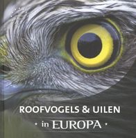 Rebo Productions Roofvogels en uilen in Europa - thumbnail