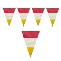 Den Bosch kleuren carnaval vlaggetjes - 10 meter - plastic - rood-wit-geel - versieringen Den Bosch kleuren carnaval vlaggetjes - 10 meter - plastic - rood-wit-geel - versieringen