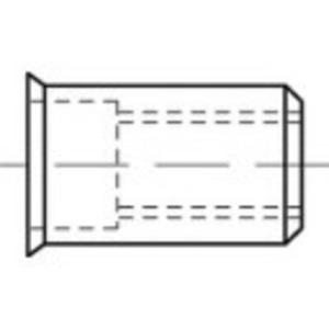 TOOLCRAFT TO-5380431 Popmoer M6 RVS 250 stuk(s)