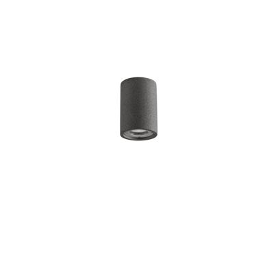 Lyora PlafondspotPar zwart beton - 9186181
