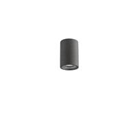Lyora PlafondspotPar zwart beton - 9186181