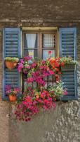 Blue shutters 70x130cm Tuinschilderij - Customize it