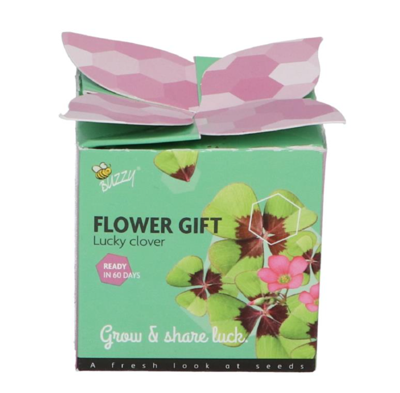 Grow gifts kweekset flower gift klavertje 4 - Buzzy