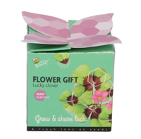 Grow gifts kweekset flower gift klavertje 4 - Buzzy
