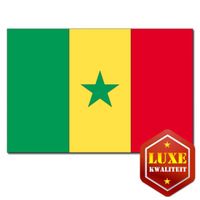 Feestartikelen Vlag Senegal