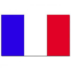 Landen thema vlag Frankrijk 90 x 150 cm feestversiering