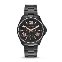 Fossil Cecile AM4522 Dameshorloge van zwart roestvrij staal