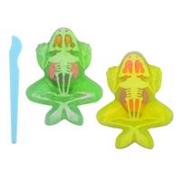 Johntoy Science explorer kikker anatomie slijm