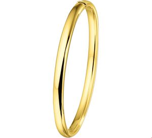 TFT Slavenband Goud Scharnier Half Ronde Buis 5 X 60 mm